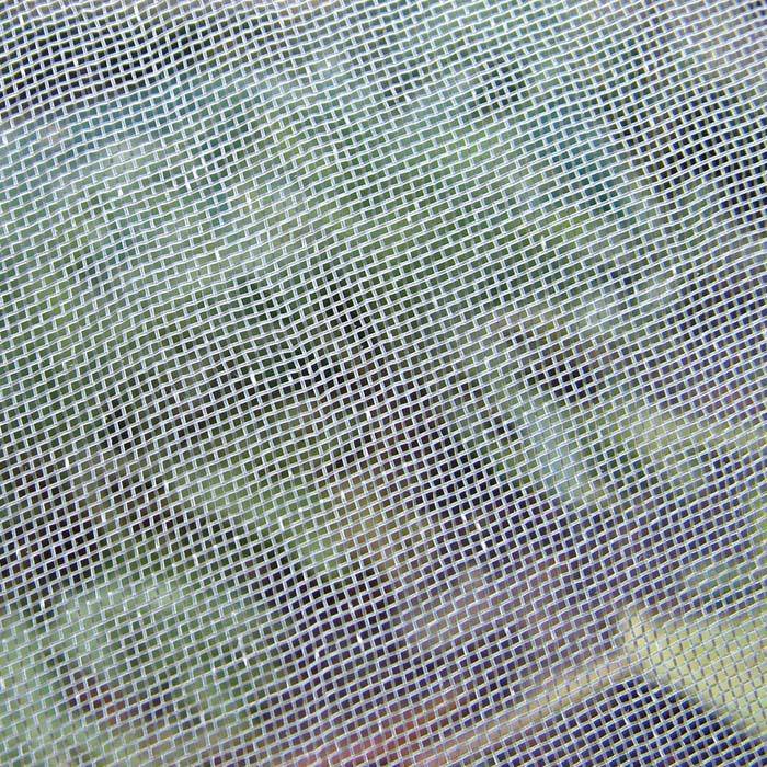 Insect Mesh Close Up